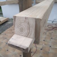 Tenon mordane